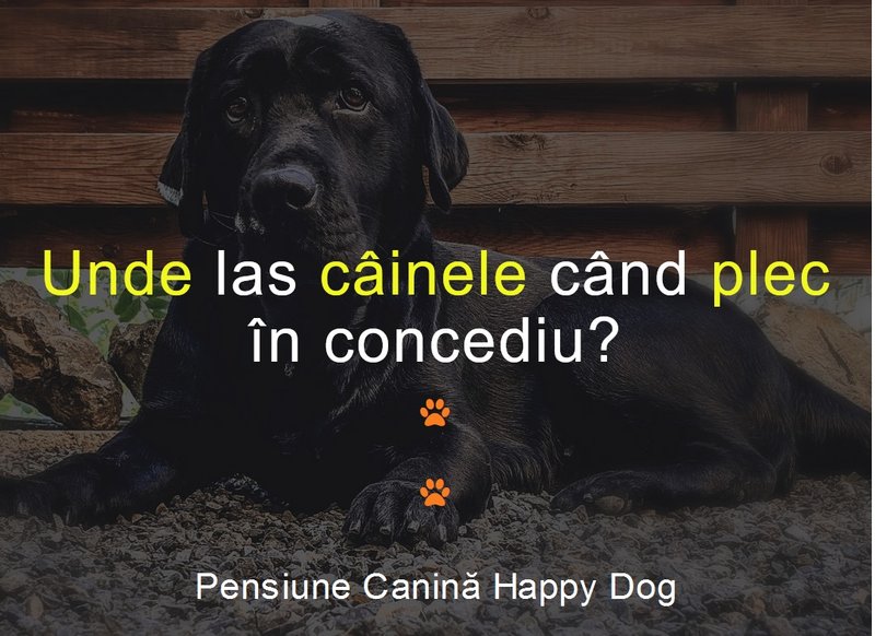 Pensiune Canina Happy Dog