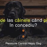 Pensiune Canina Happy Dog